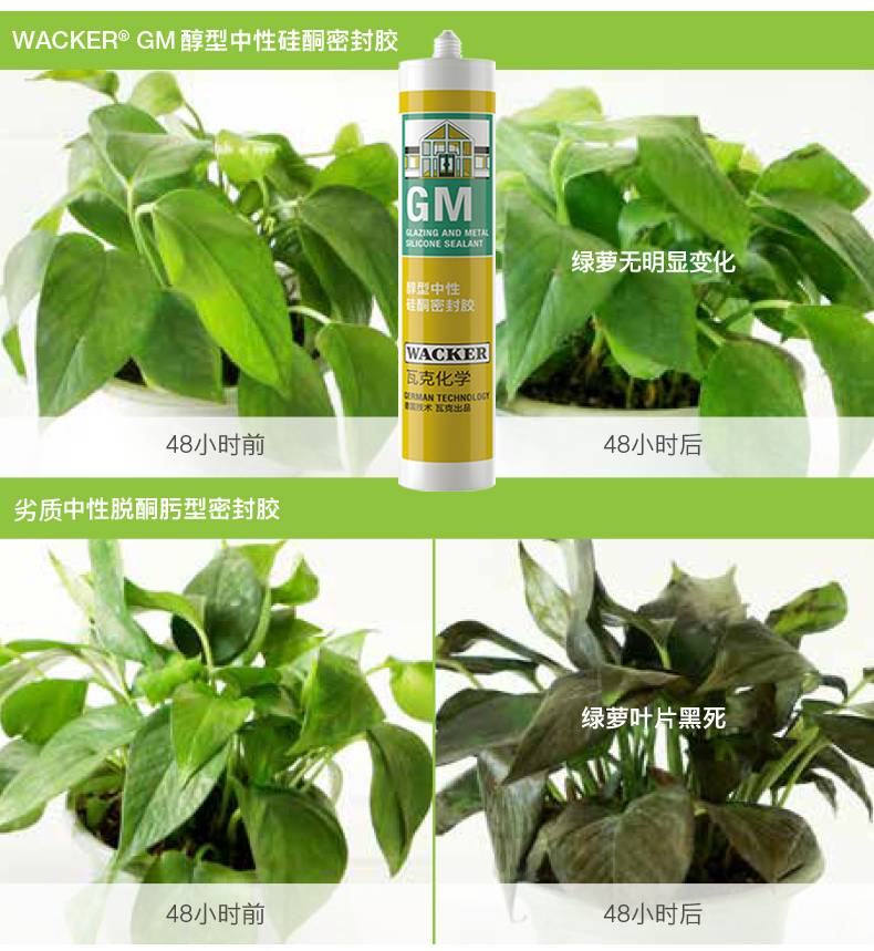 水鹿-配件－挂件－瓦克（WACKER）GM玻璃胶密封胶美容胶