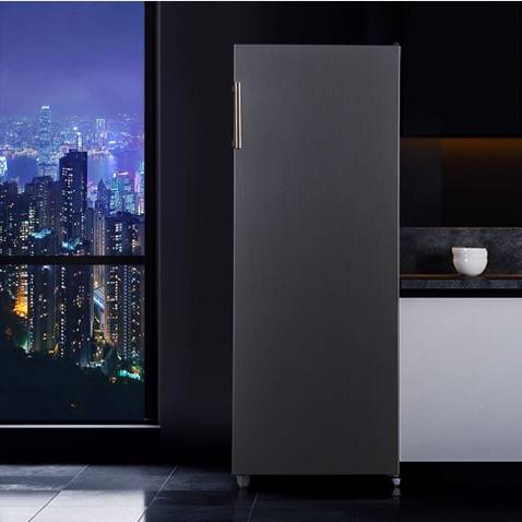 水鹿-洗面－浴室柜－松下新品冷柜NR-FZ161P-S