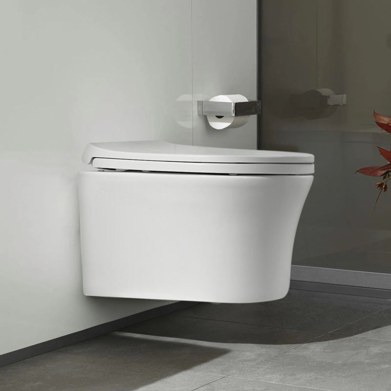 水鹿-马桶－壁挂马桶－水鹿优选壁挂马桶+普通马桶盖