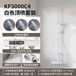 3000C4带顶喷套装