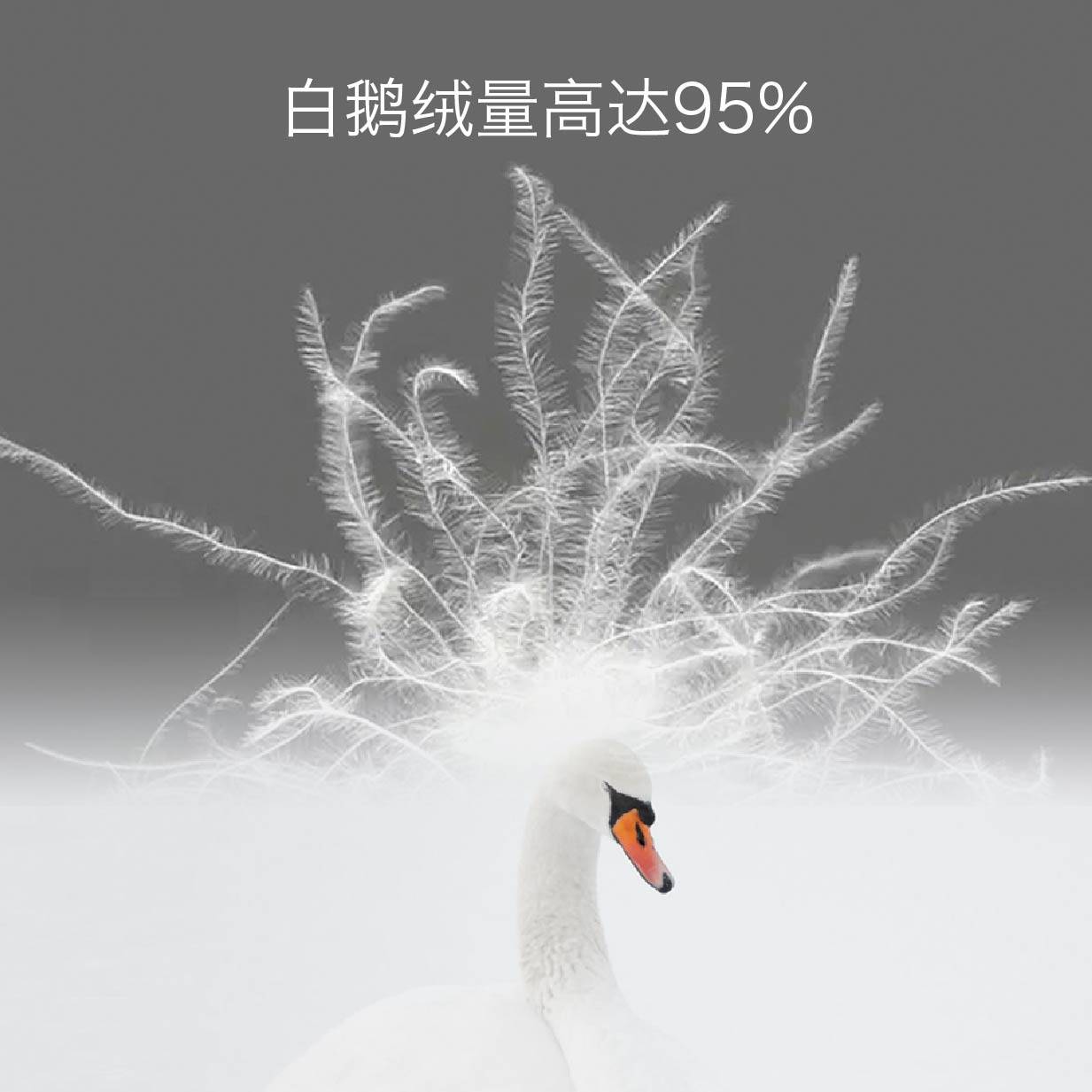 水鹿-家居－床品－水鹿多功能便携旅行枕鹅绒毯